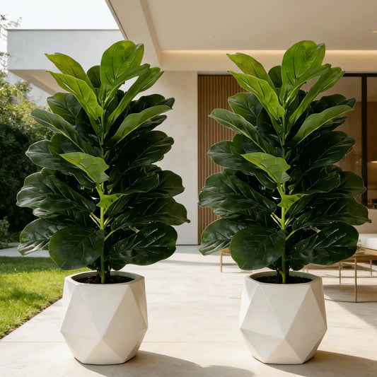 Artificial Fiddle Leaf Fig Tree 2 Pack With Geometric Pot Indoor Decor