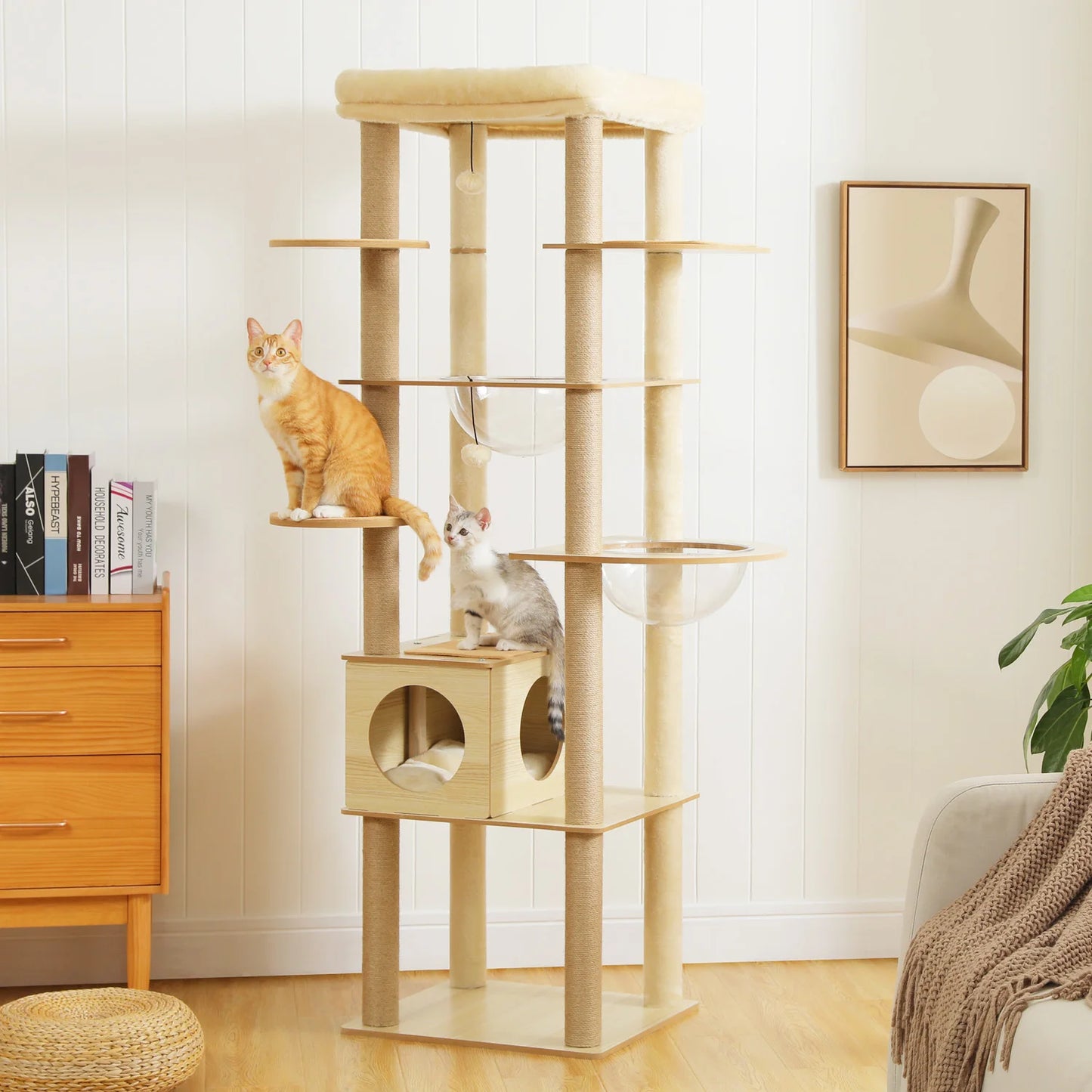 Multi Level Cat Tree Indoor Wood Tower With Scratching Posts