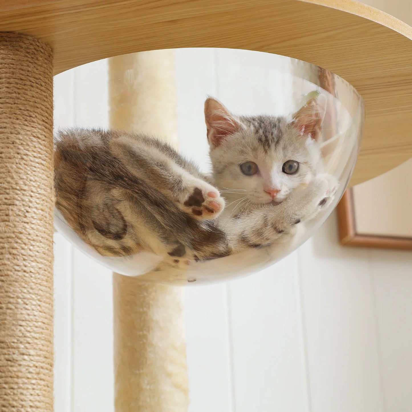 Multi Level Cat Tree Indoor Wood Tower With Scratching Posts
