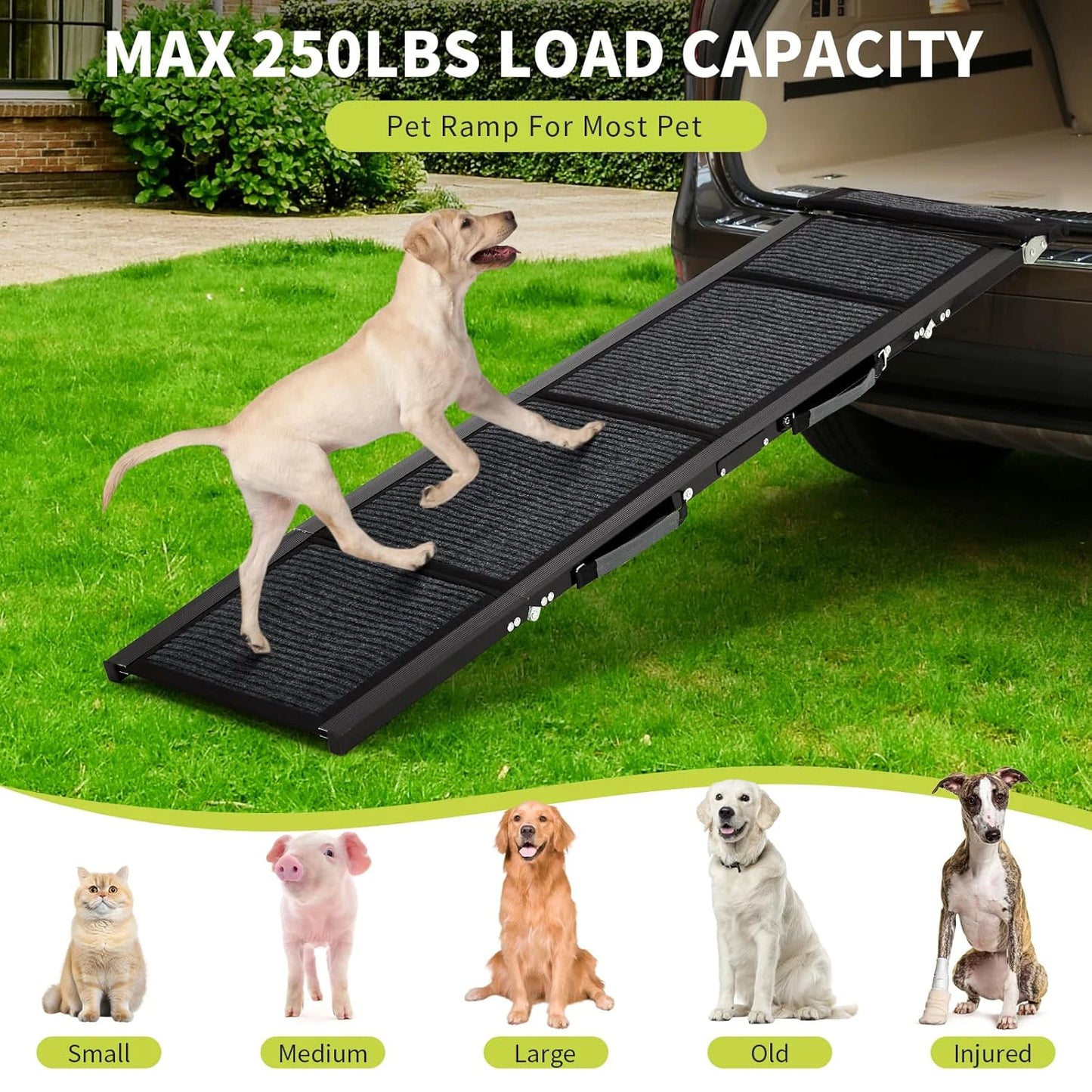 HiMISS Upgraded Folding Car Dog Ramp With Non Slip Surface Up To 250 Lbs