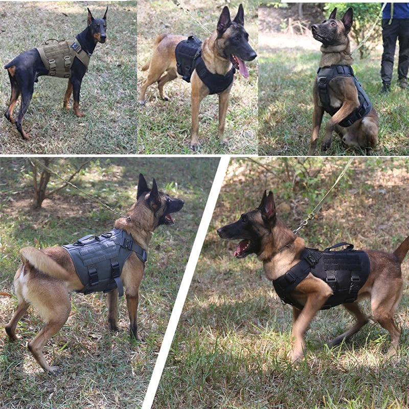 COOYOMOO Tactical Dog Harness And Leash Set For All Breeds